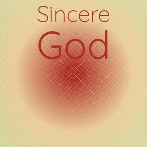 Various Artists的專輯Sincere God