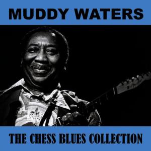 收聽Muddy Waters的Close to You歌詞歌曲