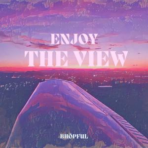 的專輯Enjoy the View