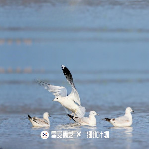 Listen to 热门旋律 (DJ版) song with lyrics from M.R.Y麦尔彦