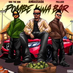 收聽Ambassada的Pombe Kwa Bar歌詞歌曲