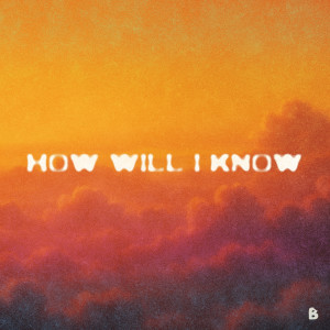 lews的專輯How Will I Know (feat. Naelii)