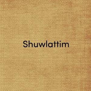 收聽Dastan Janabaev的Shuwlattim歌詞歌曲
