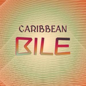 收听Erind Daan的Caribbean Bile歌词歌曲