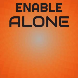 Various Artists的專輯Enable Alone