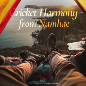 Healing Nature的專輯Cricket Harmony from the Namhae