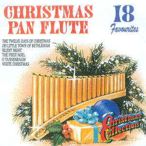 ดาวน์โหลดและฟังเพลง French Chrstmas Songs:  Ce Matin/Les Anges Dans Nos Champagnes พร้อมเนื้อเพลงจาก Michel Laguens