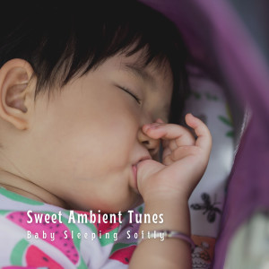 อัลบัม Sweet Ambient Tunes: Baby Sleeping Softly ศิลปิน Baby Shark