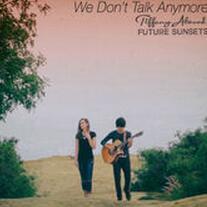 We Don't Talk Anymore