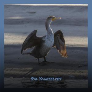 Various的专辑Ssa Yourselves