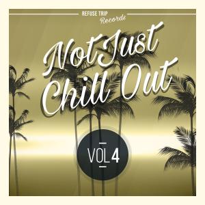 Dubsystem的專輯Not Just Chill Out Vol. 4
