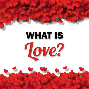 Love Songs Music的专辑What is Love?