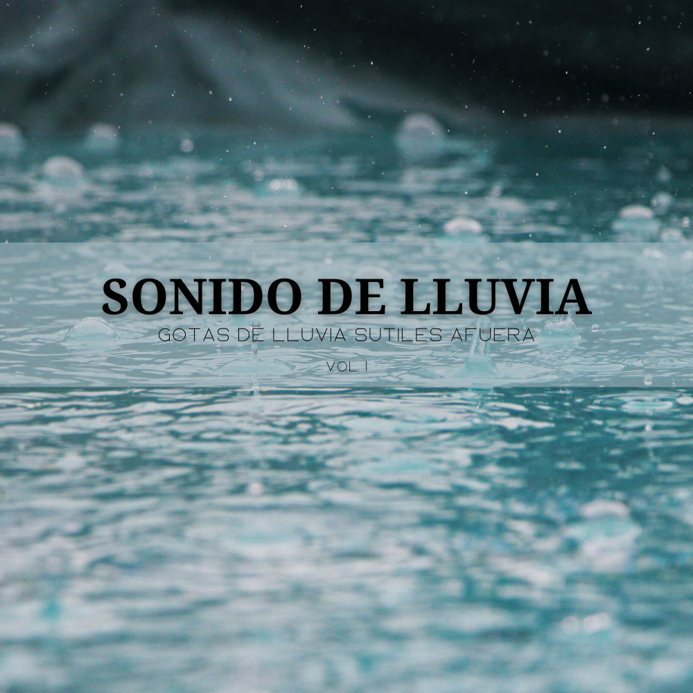 Pájaro Se Baña Bajo Lluvia