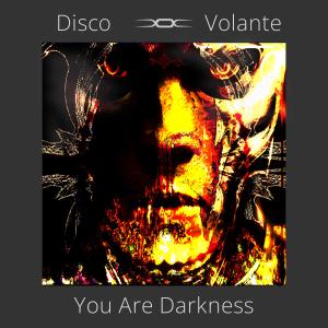 อัลบัม You Are Darkness ศิลปิน Disco Volante