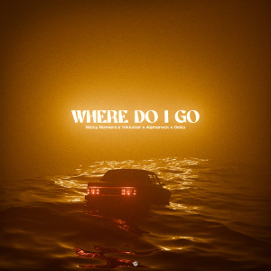 Nicky Romero的專輯Where Do I Go