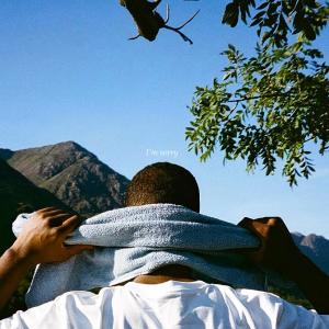 ดาวน์โหลดและฟังเพลง I'm Sorry (feat. Claud Brown) (Explicit) พร้อมเนื้อเพลงจาก SONEL