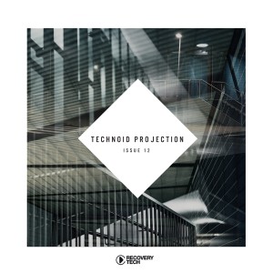 Various Artists的專輯Technoid Projection Issue 12