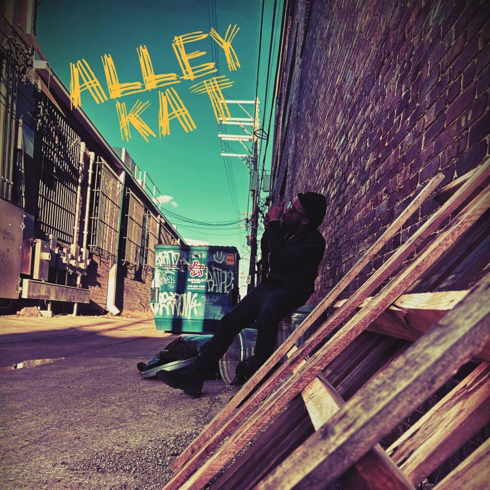 ALLEY KAT