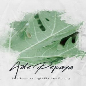 Listen to Ade Pepaya song with lyrics from Pace Santana