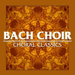收聽Bach Choir的Te Deum Laudamus歌詞歌曲