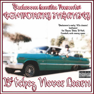 Darkroom Familia Presents: Temporary Insanity的專輯Bitchez Never Learn (Explicit)