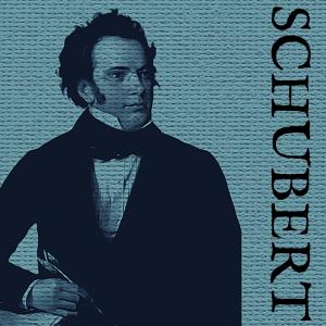 Dengarkan lagu Waltz No.6 in B Minor, Op.18, D.145 nyanyian Recitano dengan lirik