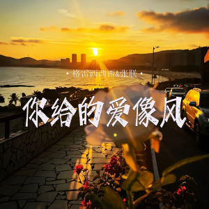 Album 你给的爱像风 from 格雷西西西
