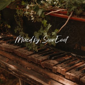 Listen to Piano Trance, Vol. 2 (Mixed by SounEmot) song with lyrics from SounEmot State (Dj)