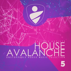 Various Artists的專輯House Avalanche, Vol. 5