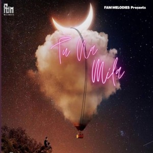 Listen to Tu Na Mila (Slowed & Reverb) (Slow And Reverb) song with lyrics from Samr8