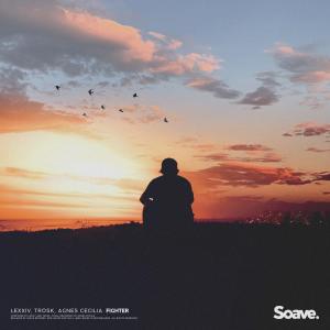 Album Fighter from LeXxìv