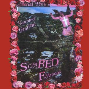 Ariel Pink的專輯Scared Famous/FF>> (2021 Remastered Version)