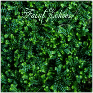 Album Strong from faint echoes