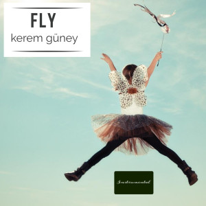 Listen to Fly song with lyrics from Kerem Güney