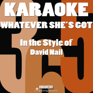 收聽Karaoke的Whatever She's Got (In the Style of David Nail) [Karaoke Instrumental Version] (Karaoke Instrumental Version)歌詞歌曲
