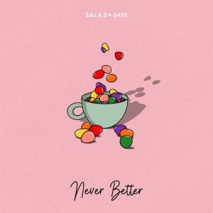 Dengarkan lagu Never Better nyanyian Sling Dilly dengan lirik