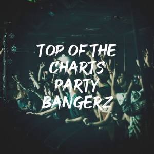 It's a Cover Up的專輯Top of the Charts Party Bangerz