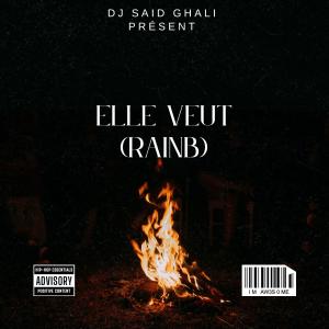 收聽DJ-SAID GHALi的ELLE VEUT (RAINB) (feat. GOLDB & RABAH SGHRI) (Radio Edit)歌詞歌曲