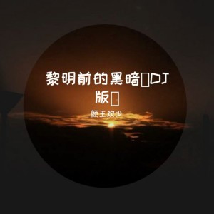 Album 黎明前的黑暗 from 颜王欢少