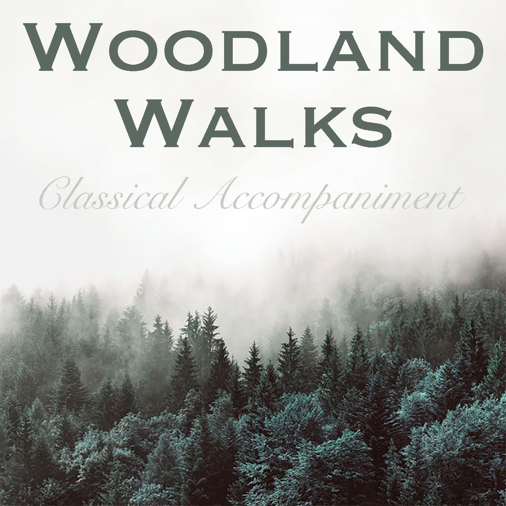 Symphony No. 1 in D major: II
