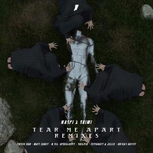 Album Tear Me Apart (Remixes) from Naski