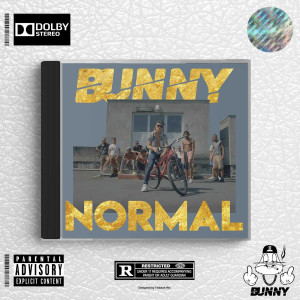 ดาวน์โหลดและฟังเพลง Normal (Explicit) พร้อมเนื้อเพลงจาก Bunny