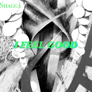 收聽Shagga的I Feel Good (Explicit)歌詞歌曲