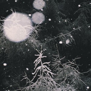 Album Over the Voids... from Over the Voids