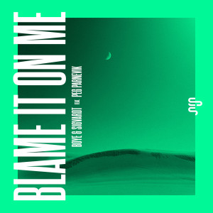 ดาวน์โหลดและฟังเพลง Blame It On Me พร้อมเนื้อเพลงจาก SJUR