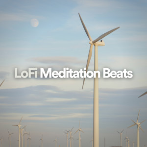 Lofi Meditation Beats dari Lofi Sleep
