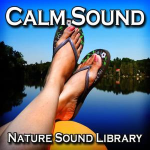 Nature Sound Library的專輯Calm Sound (Nature Sounds for Deep Sleep, Relaxation, Meditation, Spa, Sound Therapy)