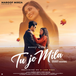 Listen to Tu Jo Mila song with lyrics from Maroof Mirza
