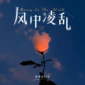 Listen to 风中凌乱 (DJ阿鹏版) song with lyrics from 亮声open