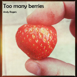 收聽Andy Rogers的Too many berries歌詞歌曲